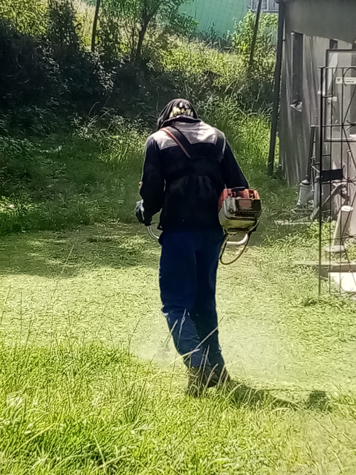 Team member using a brush cutter in long overgrown grass