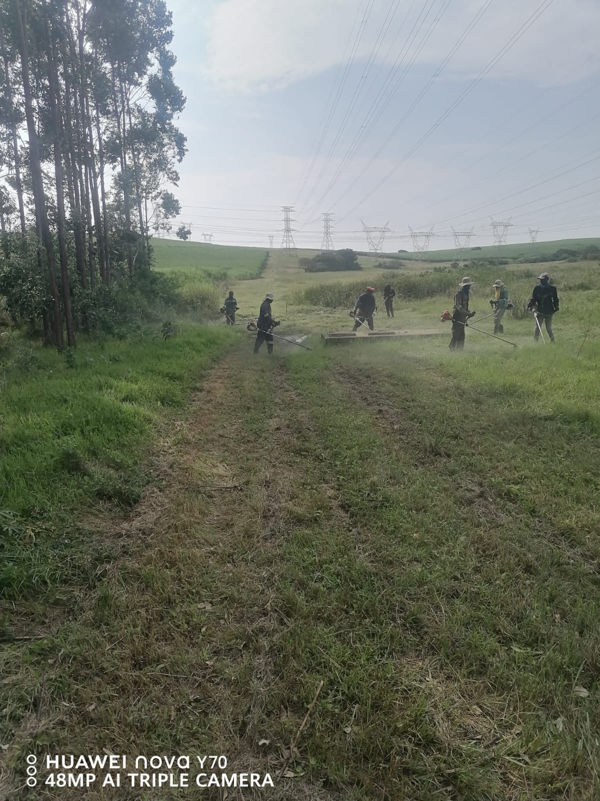 Several team members cutting grass across a large open field