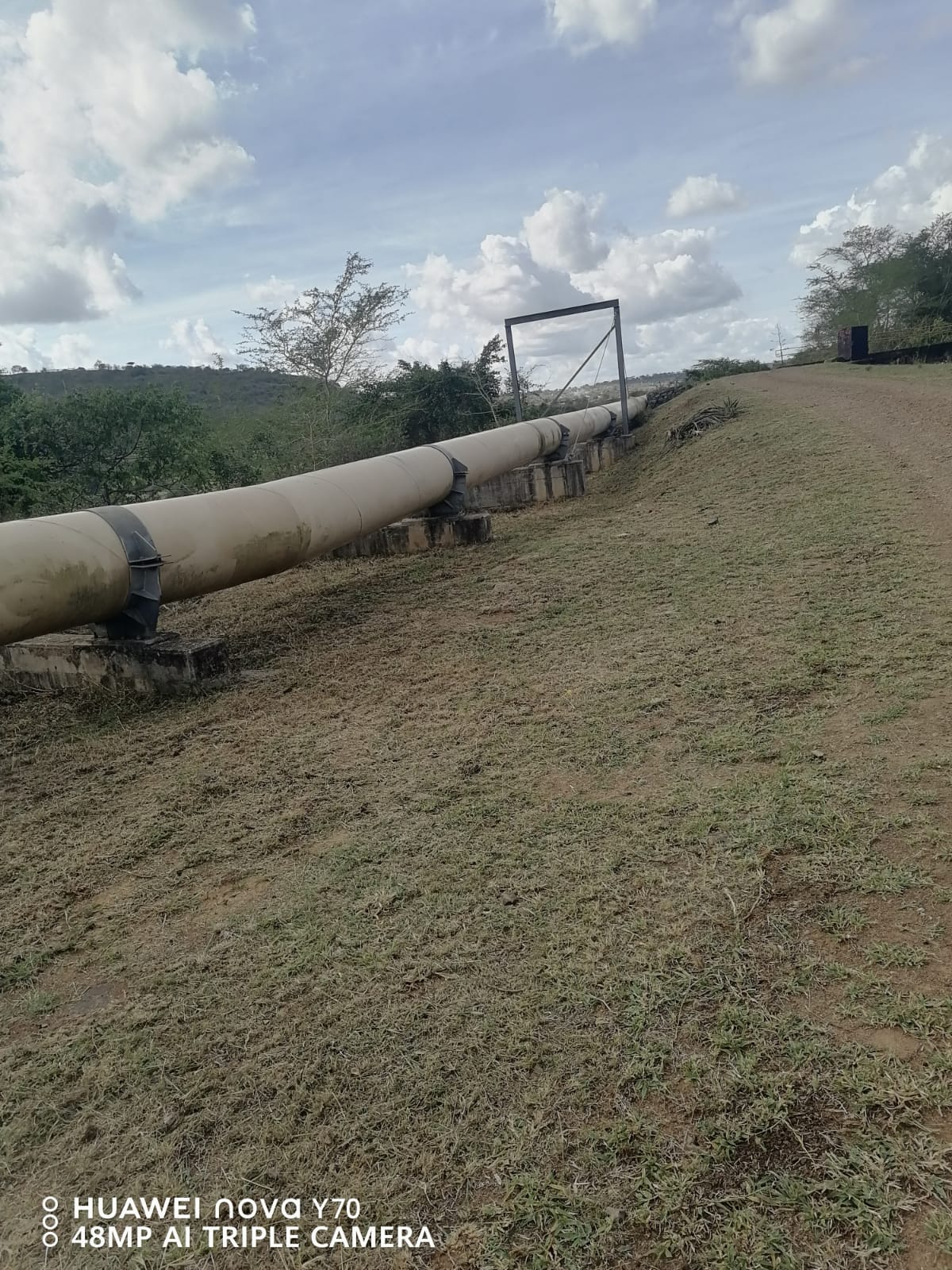 Freshly cut grass alongside a large industrial pipeline