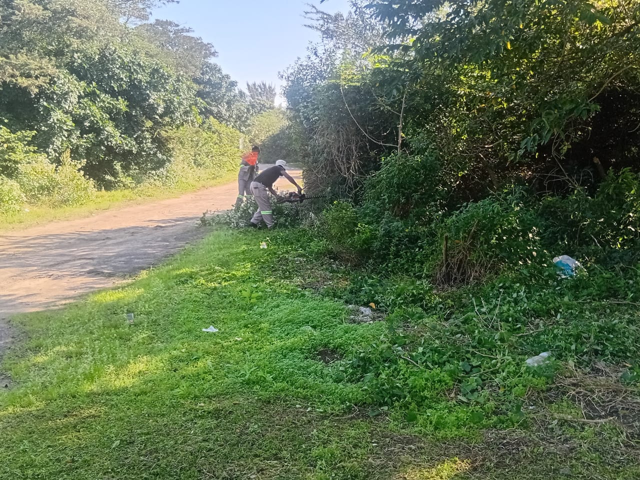 Team members clearing grass and vegetation beside a road