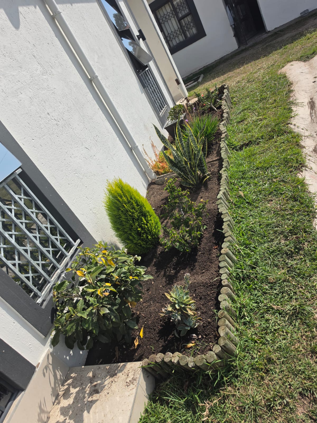 Long garden border with shrubs, succulents and log edging alongside a building