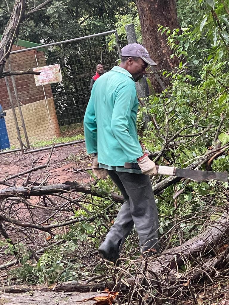 Team member cutting branches with a hand saw